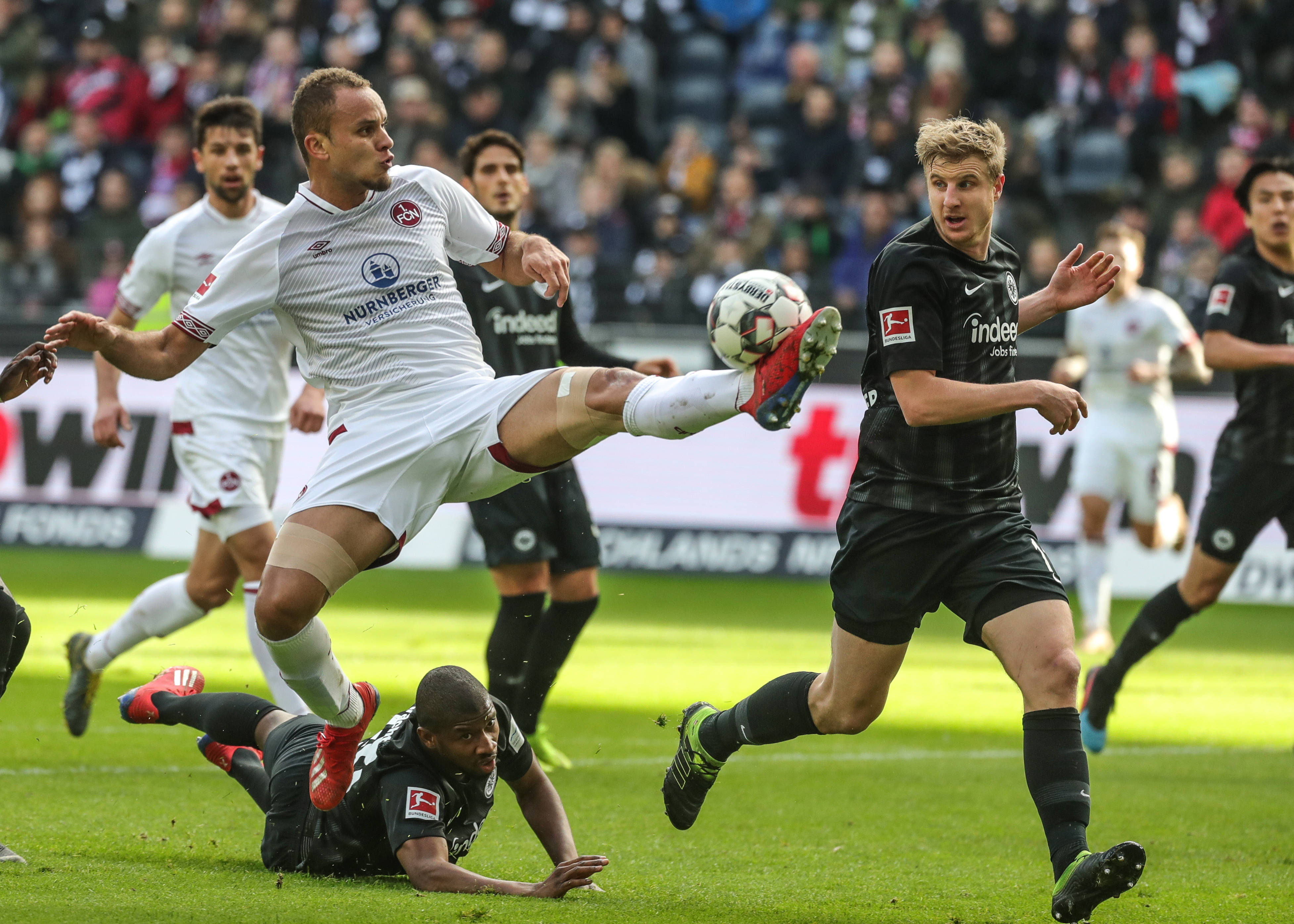 展提供了极 展提供了极