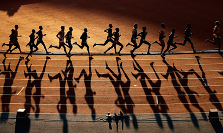 的个人训练 的个人训练