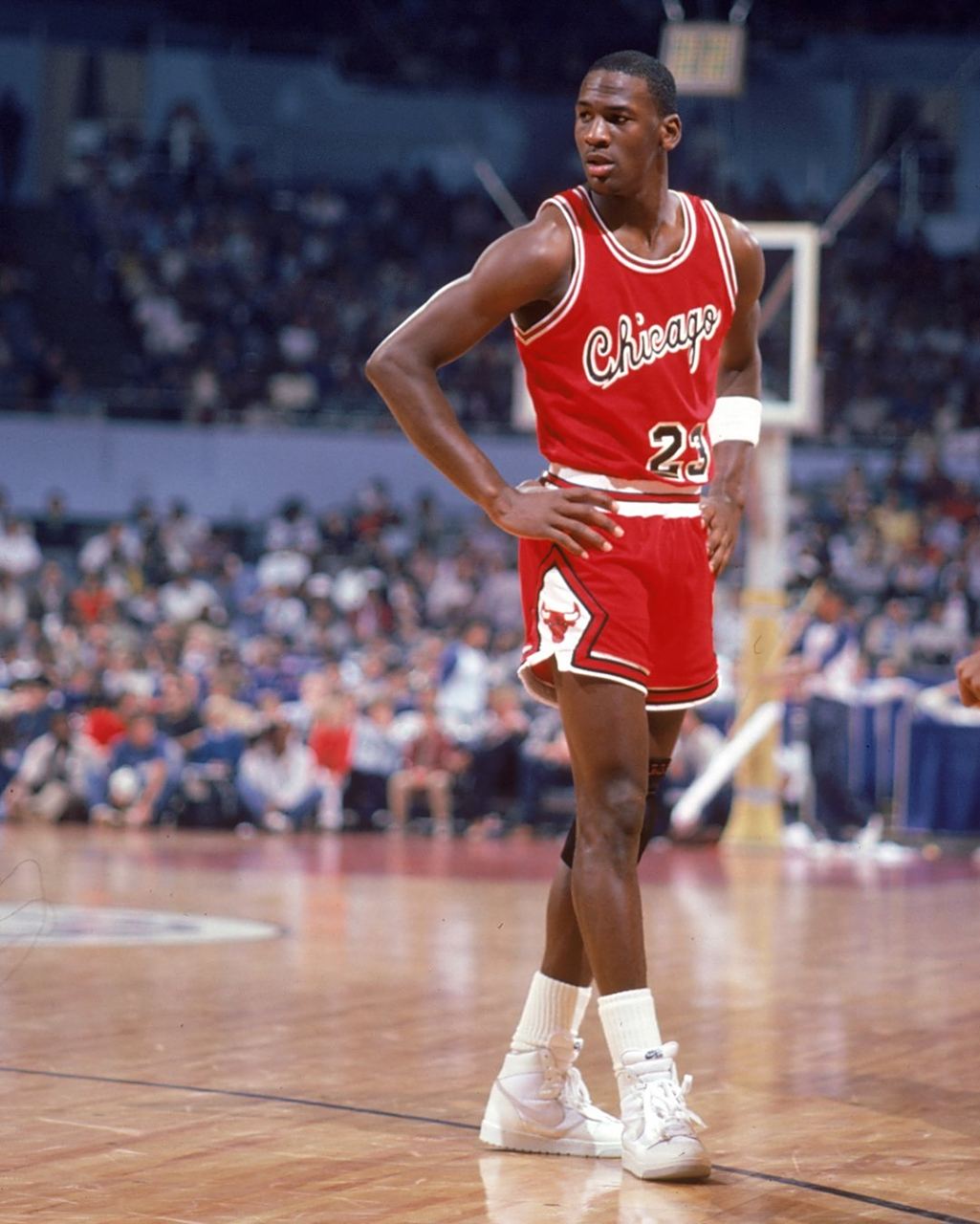 持强劲的竞 持强劲的竞