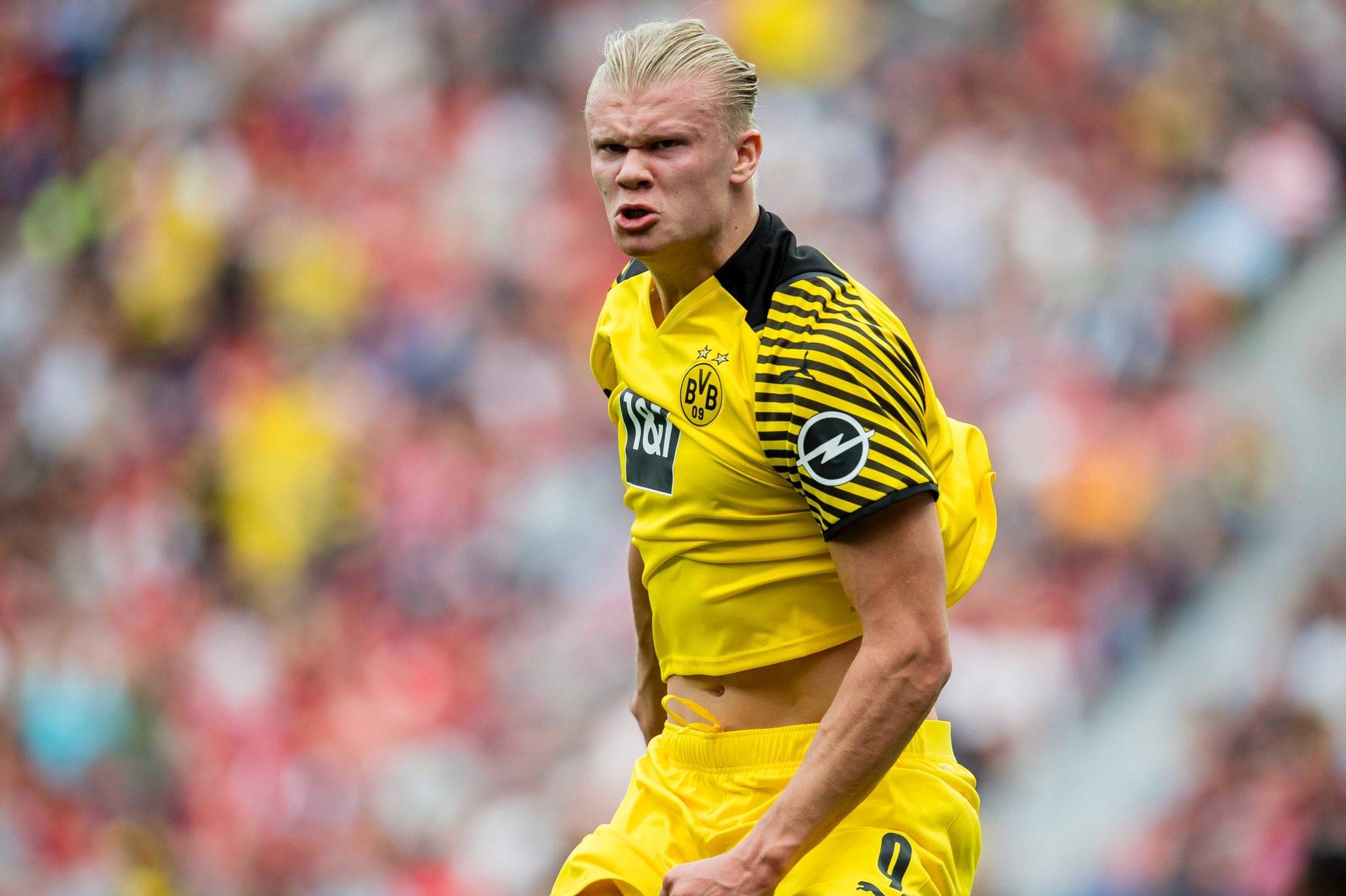 拉回正轨 拉回正轨